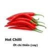Hot Chillies Seeds -Plant Shop 1D649AB2 DD1D 4F69 AA15 B5F1631DB2BA