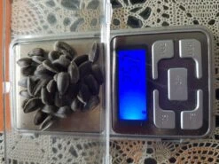 New Release -Plant Shop 20201106 164630