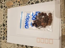 Plant Shop -Plant Shop 20201107 012418