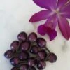 Purple Prince – C. Annum. Seeds -Plant Shop 20210221 105500 scaled 1