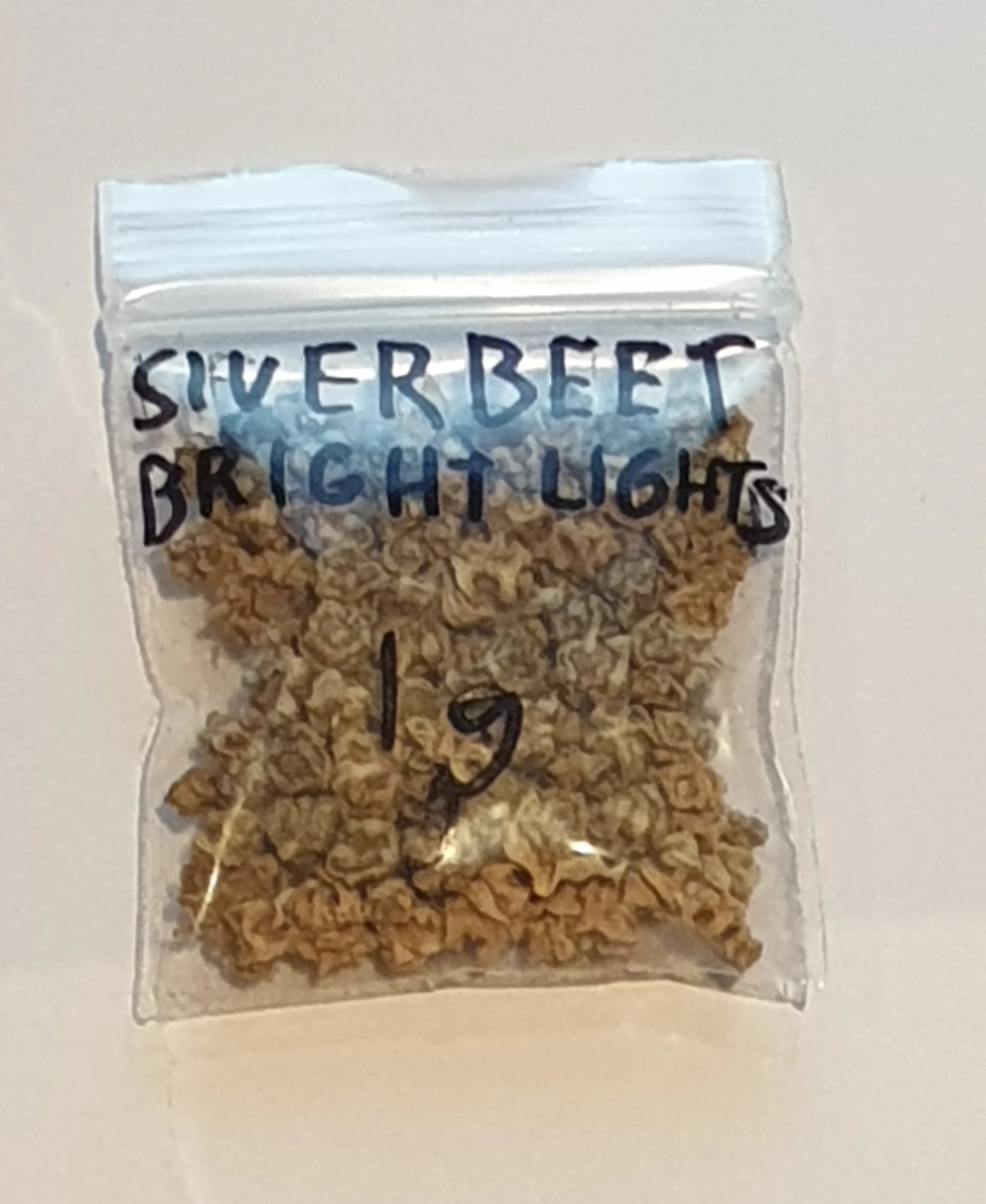 Organic Silverbeet Brightlight Seeds 4 Organic Silverbeet Brightlight Seeds - Image 2