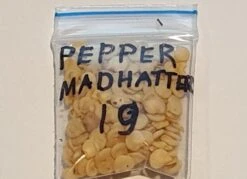 Organic Pepper Madhatter Seeds -Plant Shop 20230510 212150 1
