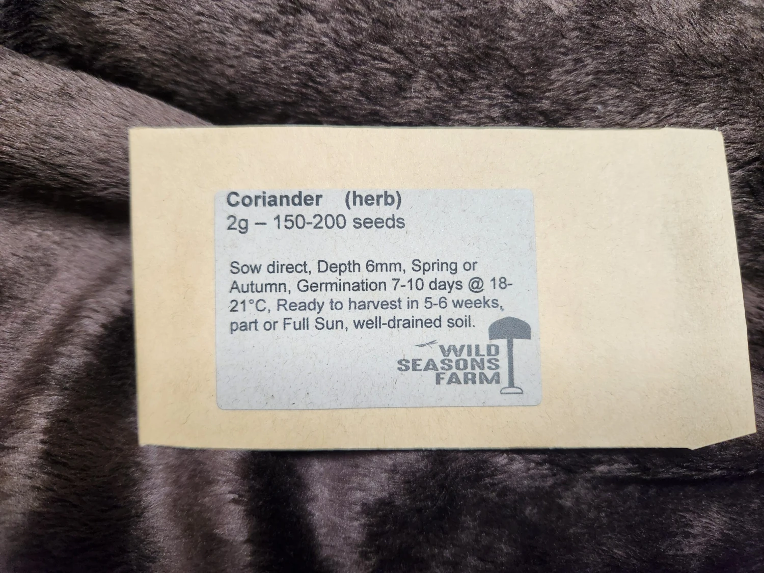 Coriander (Slow Bolt) Seeds 4 Coriander (Slow Bolt) Seeds - Image 2