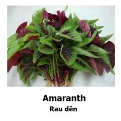 Amaranth Mixed Seeds