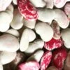 Organic Double Beans/ Tropical Lima Beans Seeds -Plant Shop 4BDD2266 12FF 441A 965B 4F7945D0E6F9