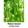 Melon Gourd Seeds -Plant Shop 728371B1 4FF7 4755 988B 7A1CD501163F