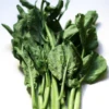 Chinese Broccoli / Kaillan / Cải Là m / Cải Rổ Seeds 2 Chinese Broccoli / Kaillan / Cải Là m / Cải Rổ Seeds -Plant Shop 8A252D5C DAE2 4DDB A028 C350A4098938 e1636785680794