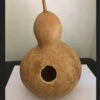 Birdhouse Gourd Seeds -Plant Shop A12905AC C6FD 4653 9D77 6D64034FE241