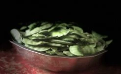 Organic Lablab Bean Vine Variety /Indian Bean/Avarakkai Seeds -Plant Shop AE93F112 942A 4CE5 8200 02BFB89F6DB7 scaled 1