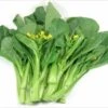 Flowering Choy Sum / Cải Ngồng Seeds -Plant Shop B00D03D5 38B5 4244 AE89 57214B5A5858