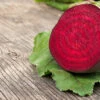 Beetroot Early Wonder Seeds -Plant Shop Beetroot Early wonder seeds