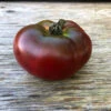Carbon Tomato Seeds -Plant Shop Carbon tomato