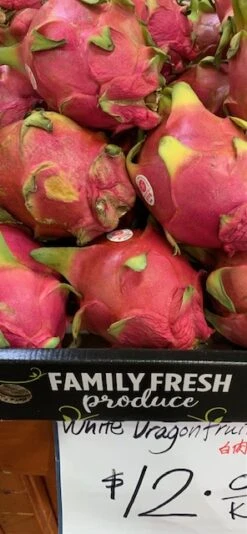 2 Red Skin White Flesh (RSWF) Dragon Fruit Plants