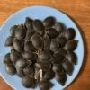 Shark Fin Melon/ Bí Vi Cá Seeds -Plant Shop EC1DA679 773E 46EF BBDA FFFAB9C5645C scaled 1