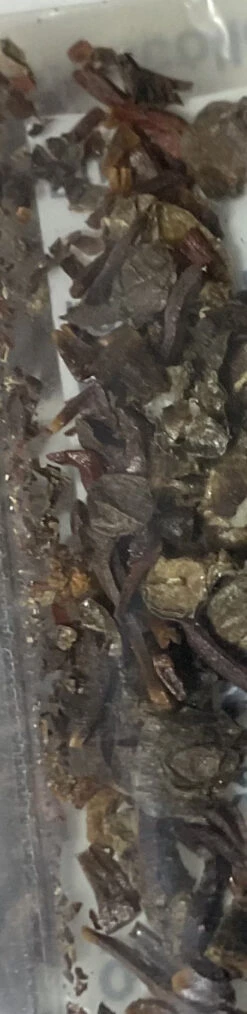 Eucalyptus Macrocarpa – Rose Of The West Seeds 14 Eucalyptus Macrocarpa – Rose Of The West Seeds -Plant Shop Eucalyptus Macrocarpa – Rose Of The West SEED 1