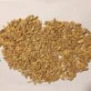Honeydew Melon Seeds -Plant Shop Honey Dew Melon seeds