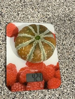 Kajari Melon / Indian Rockmelon Seeds -Plant Shop IMG 1100 scaled 1