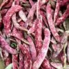 Climbing Beans – Speckled Cranberry Seeds -Plant Shop IMG 3139 scaled 1