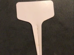 Sunflower Gift Pack Seeds -Plant Shop IMG 6505