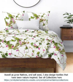 Ipomoea Quamoclit – Cypress Fern Vine, ‘pinkalishous’ Seeds 18 Ipomoea Quamoclit – Cypress Fern Vine, ‘pinkalishous’ Seeds -Plant Shop Ipomoea Textiles The Ipomoea story Pink Doona Cover