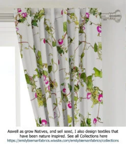 Ipomoea Quamoclit – Cypress Fern Vine, ‘pinkalishous’ Seeds 20 Ipomoea Quamoclit – Cypress Fern Vine, ‘pinkalishous’ Seeds -Plant Shop Ipomoea Textiles The Ipomoea story Pink curtains