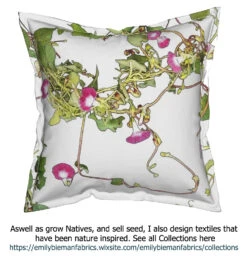 Ipomoea Quamoclit – Cypress Fern Vine, ‘pinkalishous’ Seeds 19 Ipomoea Quamoclit – Cypress Fern Vine, ‘pinkalishous’ Seeds -Plant Shop Ipomoea Textiles The Ipomoea story Pink cushion