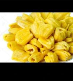 Jackfruit Seedling Plant -Plant Shop Jackfruit 2