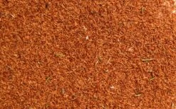 Leptospermum Continentale – Prickly Tea-tree Seeds -Plant Shop Leptospermum continentale 2