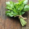 Lovage Seeds -Plant Shop Lovage2