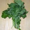 Organic Broccoli Rapini Seeds -Plant Shop Rapini