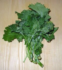 Organic Broccoli Rapini Seeds