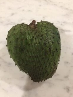 Soursop Seedling Plants For Pots Or Ground