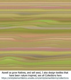 Acacia Subulate – Awl-leaf Wattle Seeds -Plant Shop Stripe Textiles Dream Garden Stripe Waves scaled 1
