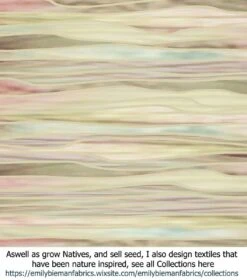 Acacia Acinacea – Gold Dust Wattle Seeds -Plant Shop Stripe Textiles Nouveau Stripes 2020 Gradient Pascals 107hy scaled 1