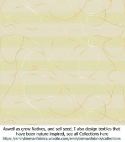 Acacia Spectabilis – Mudgee Wattle Seeds 7 Acacia Spectabilis – Mudgee Wattle Seeds -Plant Shop Stripe Textiles Venus Stripes gold H with POP PERFECTION gradient stroke scaled 1