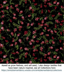 Eucalyptus Ficifolia X Calophylla (Corymbia Ficifolia X Calophylla) Seeds -Plant Shop Textiles Pandorea jasminoides Clusters plasticwrap 0002019