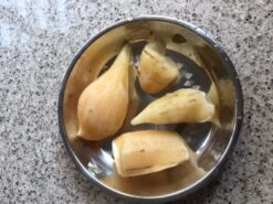 Yacon Seedling Plants -Plant Shop Yakon flesh