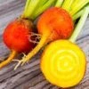 Beetroot Golden Detroit Seeds -Plant Shop beetgolden2