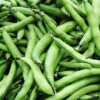 Broad Bean Coles Dwarf Seeds -Plant Shop broadbean3