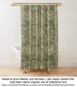 Hakea Grammatophylla – MacDonnell Ranges Hakea Seeds -Plant Shop hakea Textiles Hakea petiolaris cluster on beige cloud shower curtain