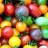 Mixed Heirloom Tomato Seeds -Plant Shop mixedtoms1